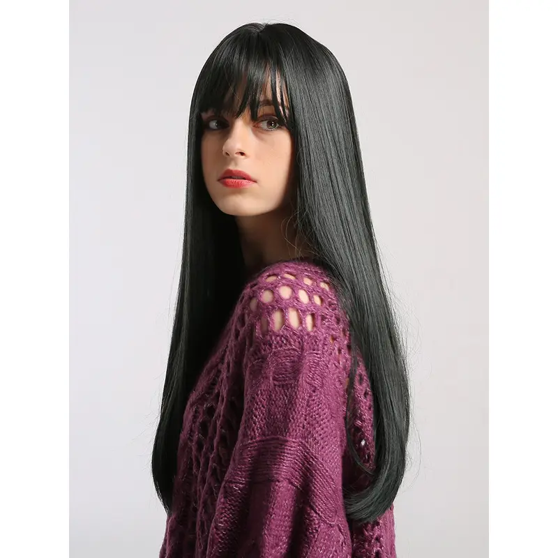 Silky Straight Black Long Natural Wig with Fringe Bangs for Women Heat Resistant Synthetic Wig for Cosplay Costume Party or Daily Wear